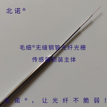 北諾500攝氏度毛細(xì)無(wú)縫鋼管單端光纖光柵傳感器（02S型）主體結(jié)構(gòu)