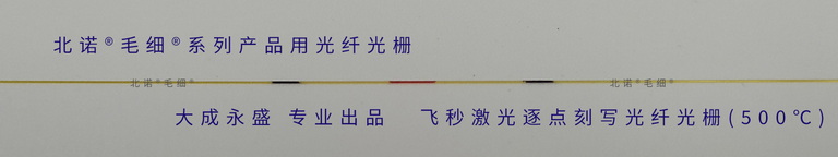 北諾500攝氏度毛細(xì)無(wú)縫鋼管單端光纖光柵傳感器（02S型）FBG結(jié)構(gòu)