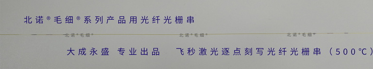 北諾500攝氏度毛細(xì)無(wú)縫鋼管光纖光柵傳感器（02S型）FBG串式結(jié)構(gòu)